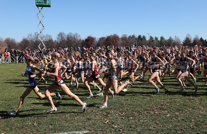 2012NCAA XC-018.JPG - 2012 NCAA D1 Cross Country Championships, November 17, 2012, held in Louisville, KY.